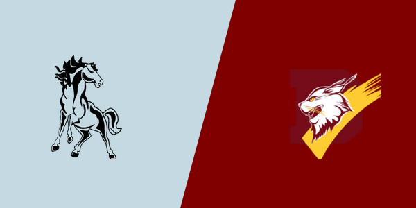 Chugiak High School vs. A.J. Dimond High School