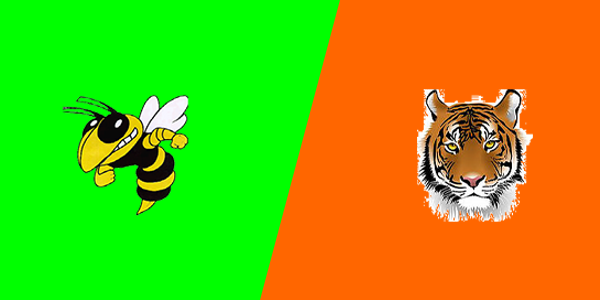 Match Thumbnail