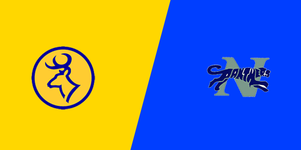Roscommon High School vs. Nouvel Catholic Central High School