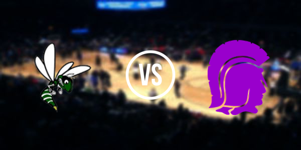 Fowlerville High School vs Williamston High School