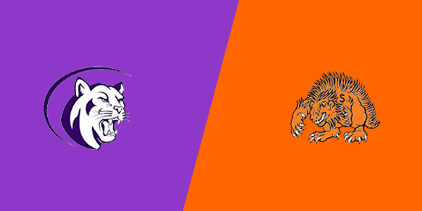 R L Paschal High School vs. Springtown High School