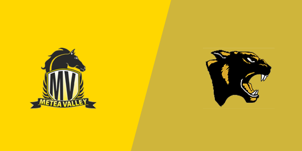 Metea Valley High School vs. Glenbard North High School