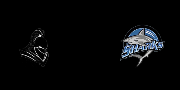T R Robinson High School vs. Riverview High School - Riverview
