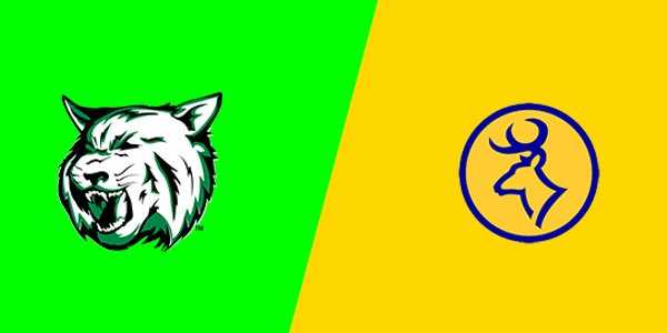 Houghton Lake High School vs. Roscommon High School