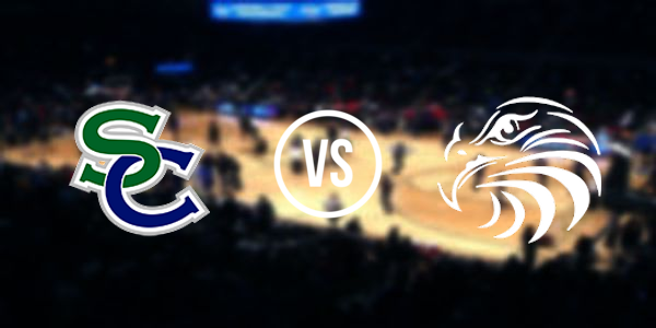 South County High School vs. Hayfield Secondary School