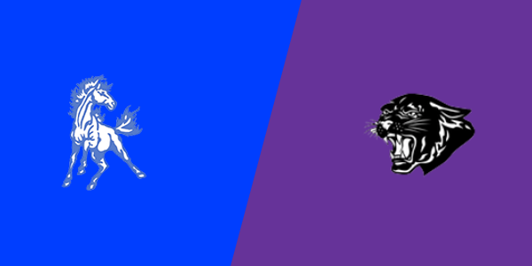 Live Stream Preview