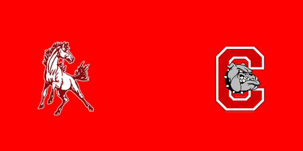 Live Stream Preview
