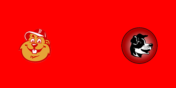 Match Thumbnail