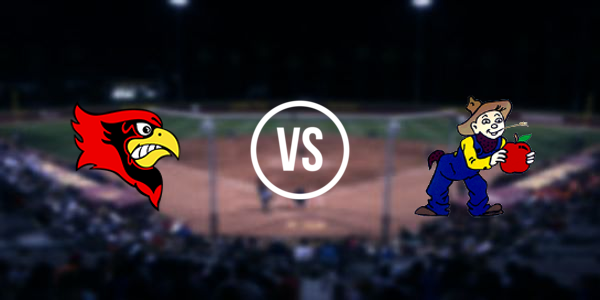 Cobden High School vs Norris City-Omaha-Enfield High School