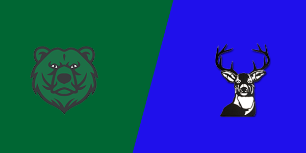 Danville School vs. Blue Mountain Union School
