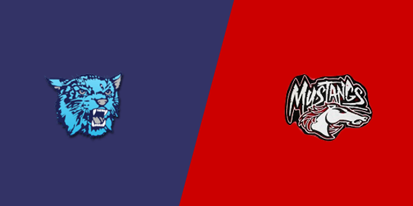 Match Thumbnail