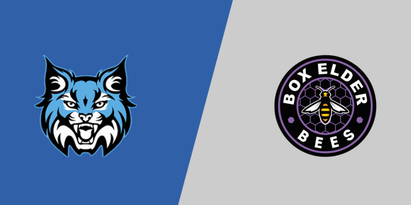 Sky View High School vs. Box Elder High School
