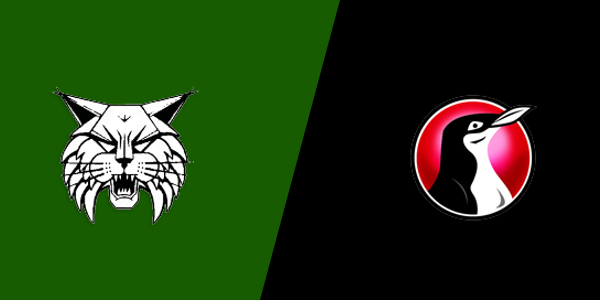 Match Thumbnail