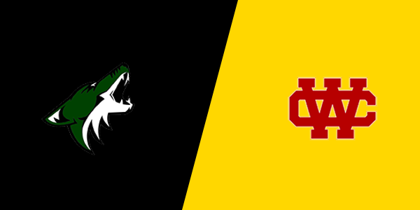Match Thumbnail