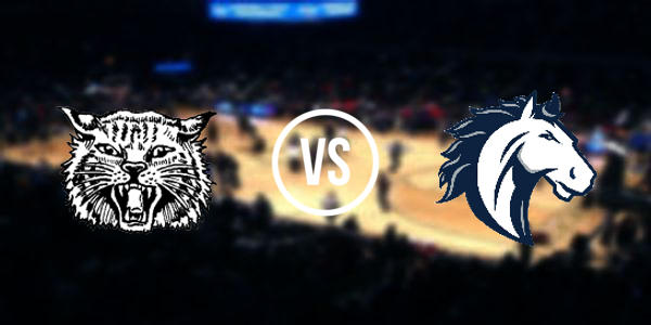 Alpena High School vs. North Branch High School