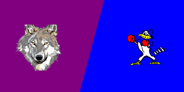 Rayne High School vs. St. Edmund Catholic School