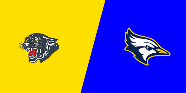 Standish-Sterling Central High School vs. Shepherd High School