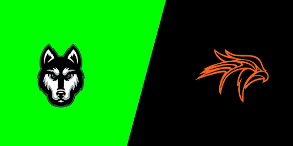 Hartford High School vs. Fennville High School