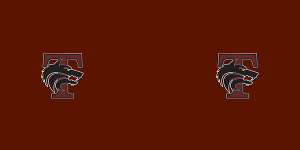 Timberview High School