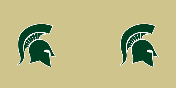 Mountain Brook High School