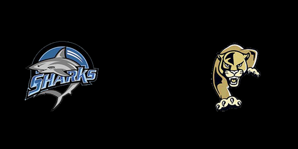 Riverview High School - Riverview vs. Plant High School