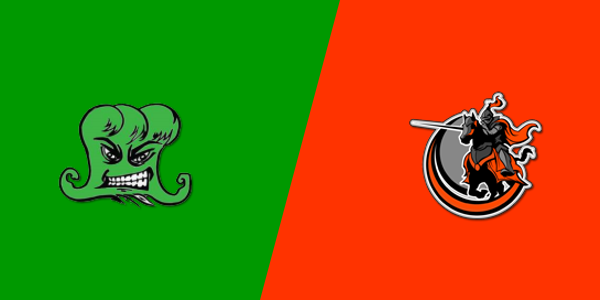 Narrows High School vs. Bath County High School