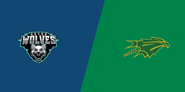 Hozho Academy Charter School vs. Newcomb High School