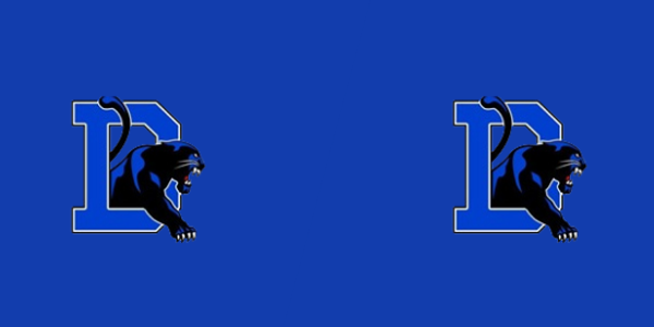 Dillard High School