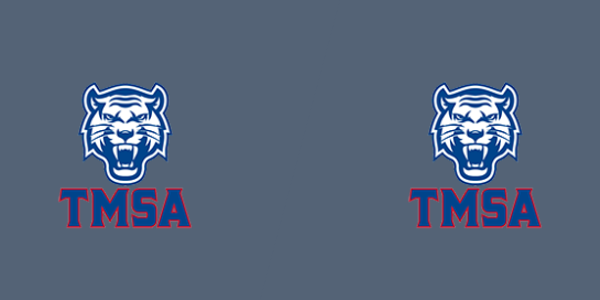 Triangle Math and Science Academy vs Triangle Math and Science Academy