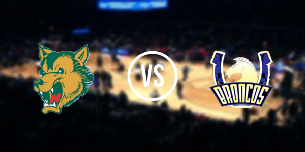 Carney-Nadeau High School vs. Bark River-Harris High School
