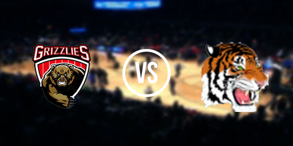 Carrizozo High School vs Elida High School