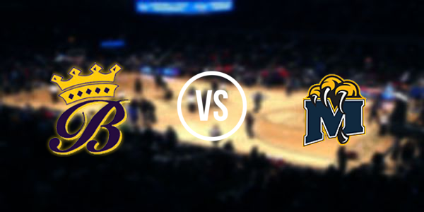 Erie-Mason High School vs. Blissfield High School