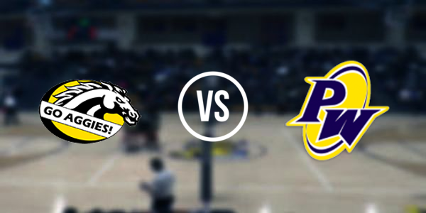 Dansville High School vs Pewamo-Westphalia High School