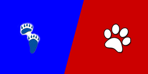 South Fork High School vs. Ferndale High School