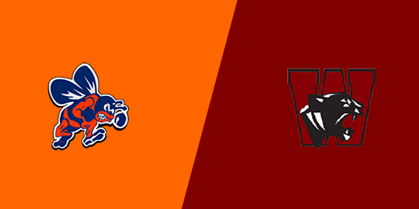 Bridgman High School vs. Watervliet High School