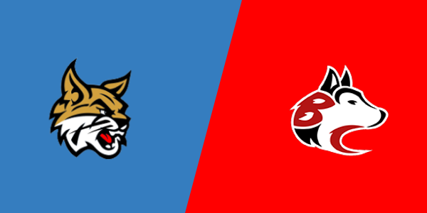 Brethren High School vs. Benzie Central High School