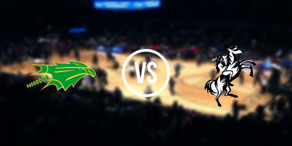 Newcomb High School vs. Navajo Pine High School