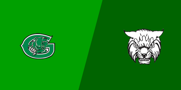 Gold-Burg High School vs. Newcastle High School