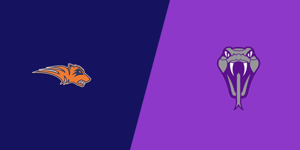 Match Thumbnail