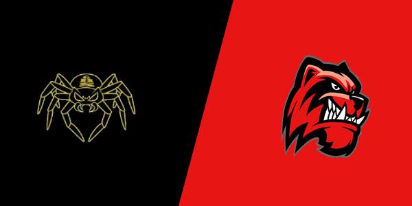 Match Thumbnail