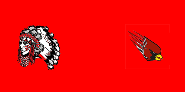 White Pigeon High School vs. Bloomingdale High School