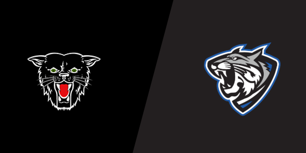 Dexter High School vs. Anna-Jonesboro High School