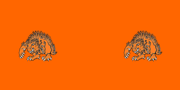 Springtown High School