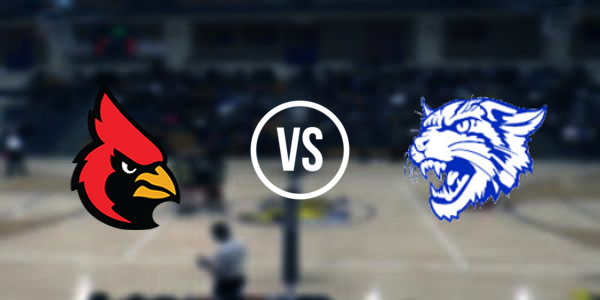 Evart High School vs Michigan Lutheran Seminary