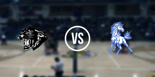 Pickford High School vs. Brimley Area High School