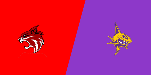 Match Thumbnail