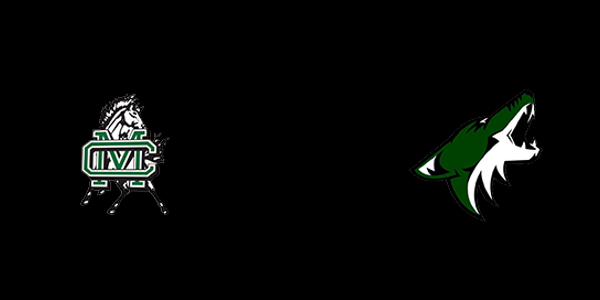 Match Thumbnail
