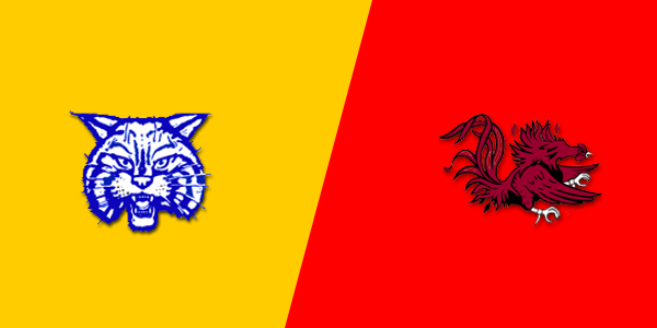 McNairy Central High School vs. Cocke County High School