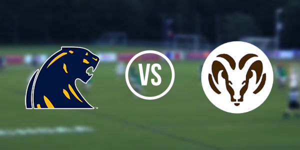 DeWitt High School vs Holt High School