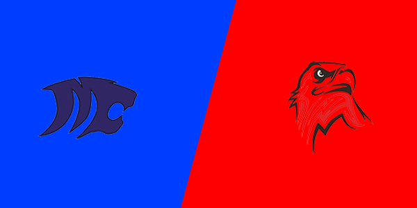 Match Thumbnail